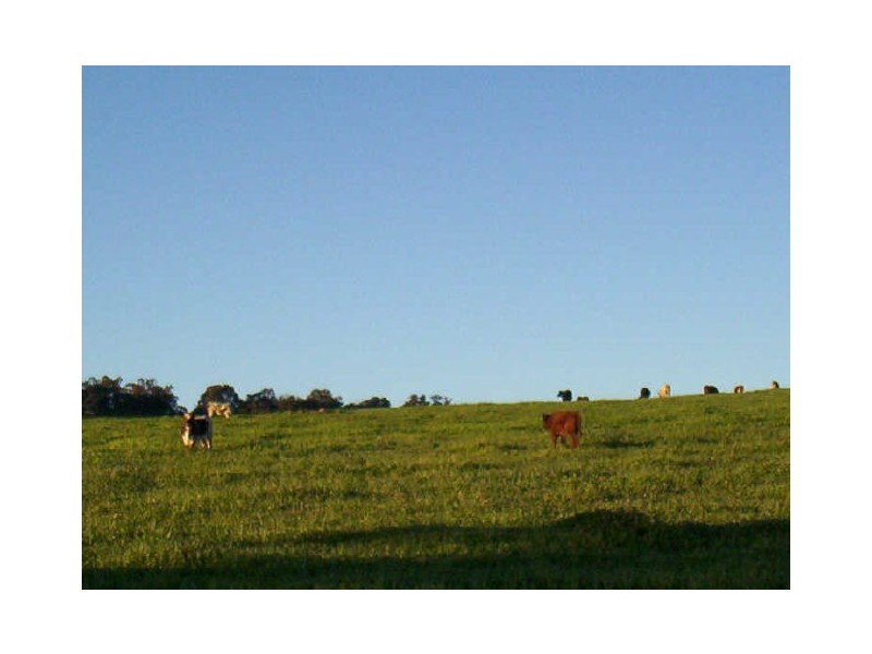 305 WALDECK WEST ROAD, Chittering WA 6084