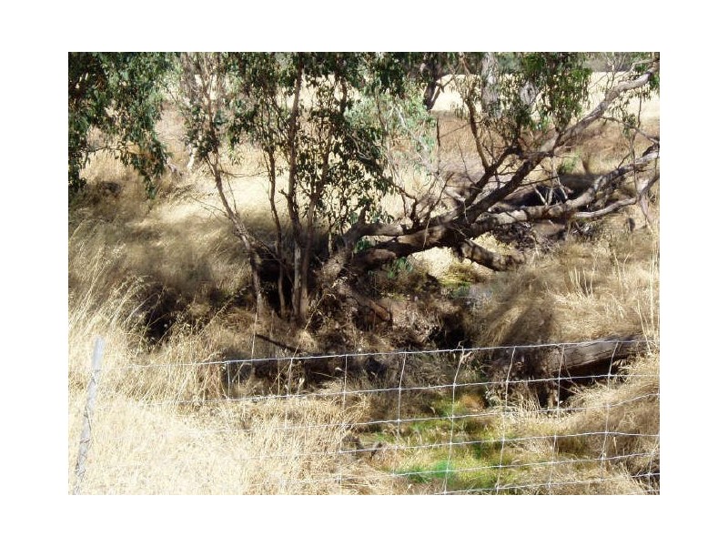 Toodyay WA 6566