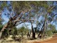 Toodyay WA 6566