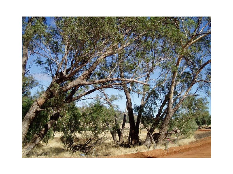 Toodyay WA 6566