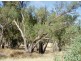 Toodyay WA 6566