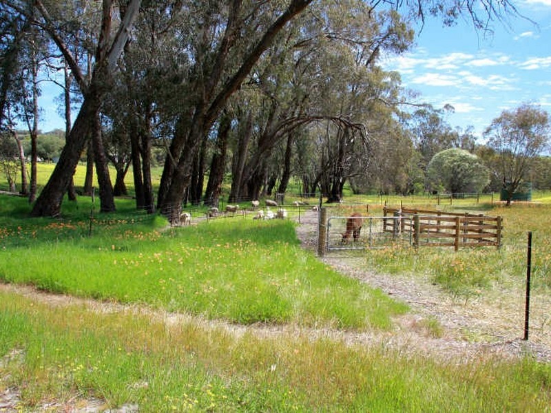 Toodyay WA 6566