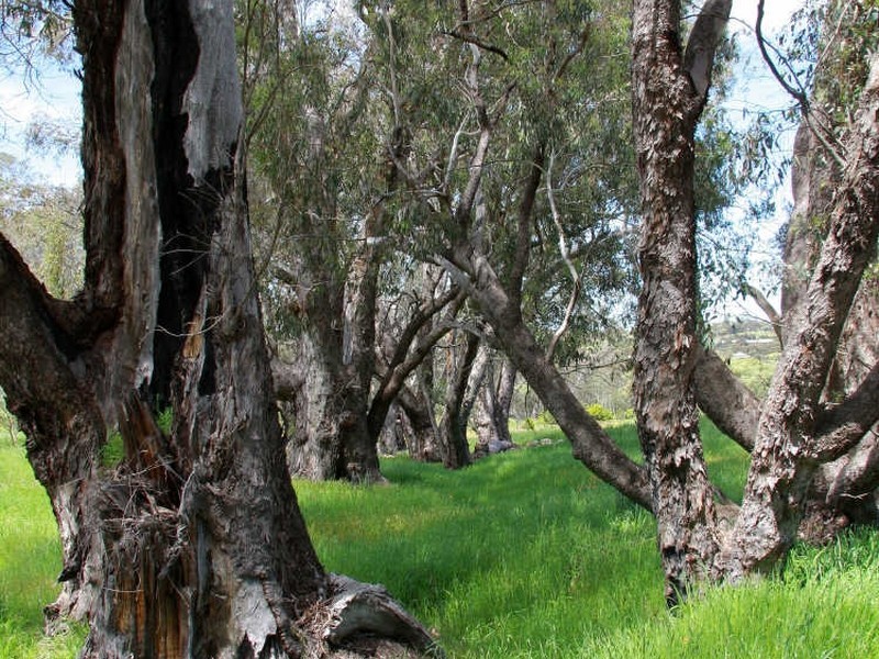 Toodyay WA 6566