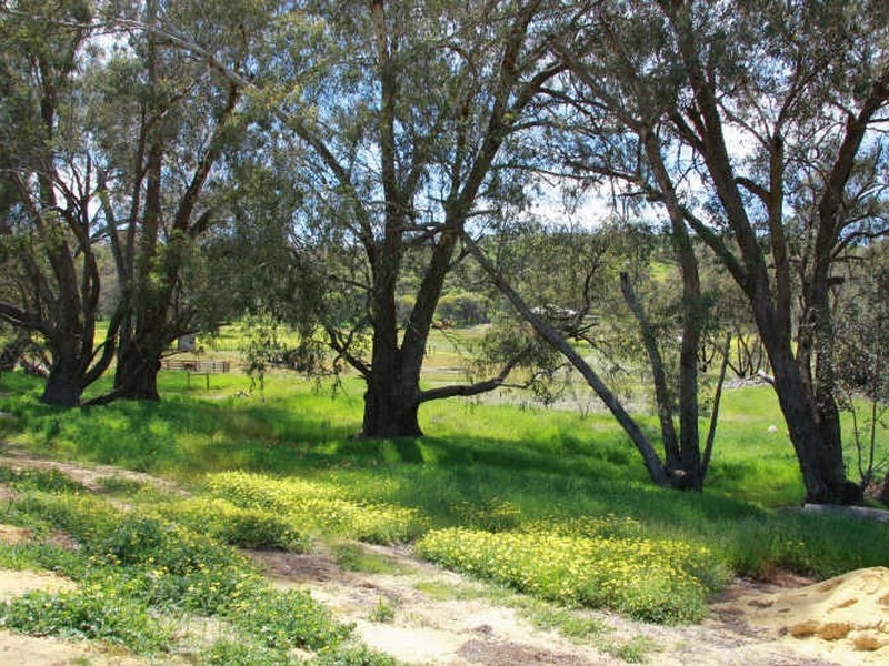 Toodyay WA 6566