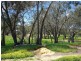 Toodyay WA 6566
