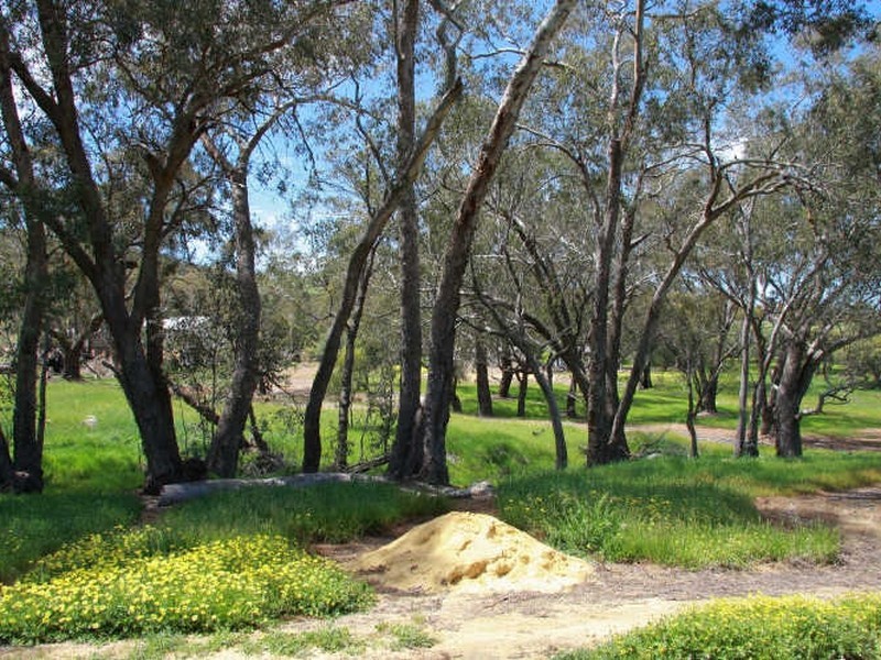 Toodyay WA 6566
