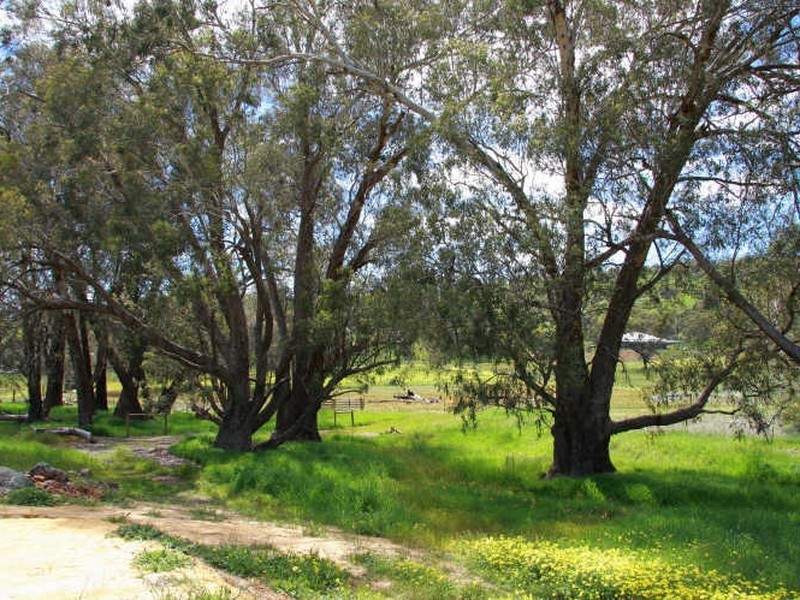 Toodyay WA 6566