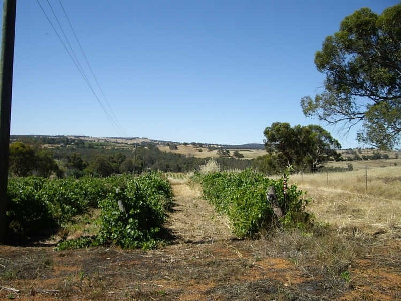Bindoon WA 6502