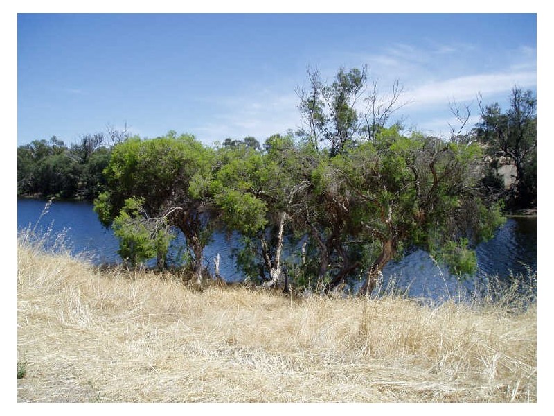 Toodyay WA 6566