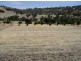 Toodyay WA 6566