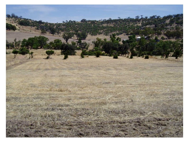 Toodyay WA 6566