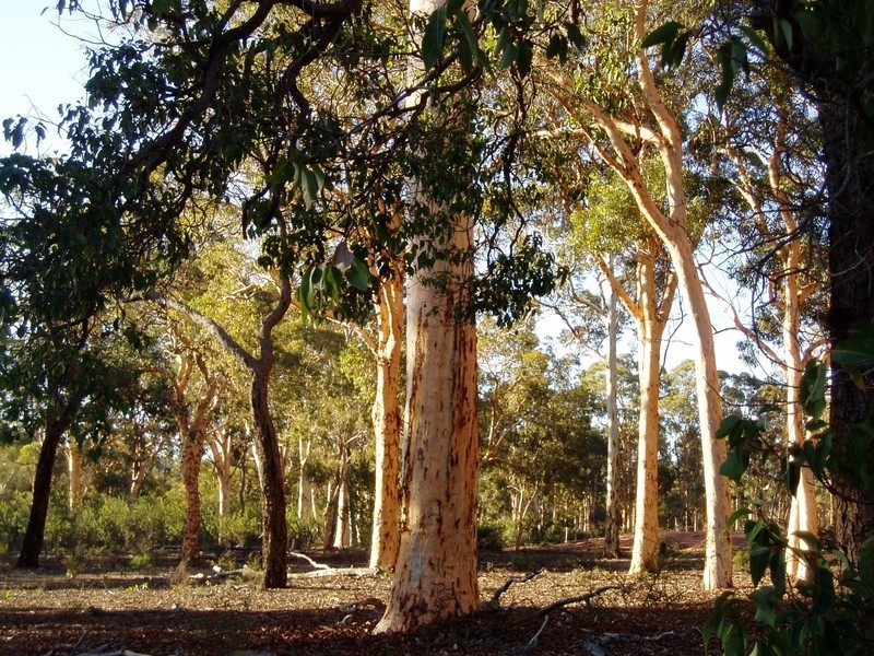 Toodyay WA 6566