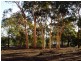 Toodyay WA 6566