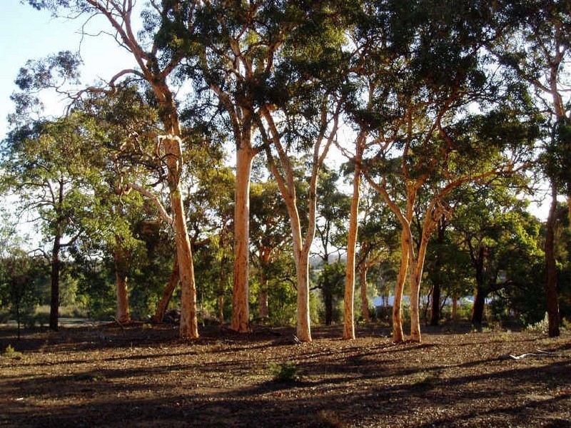 Toodyay WA 6566