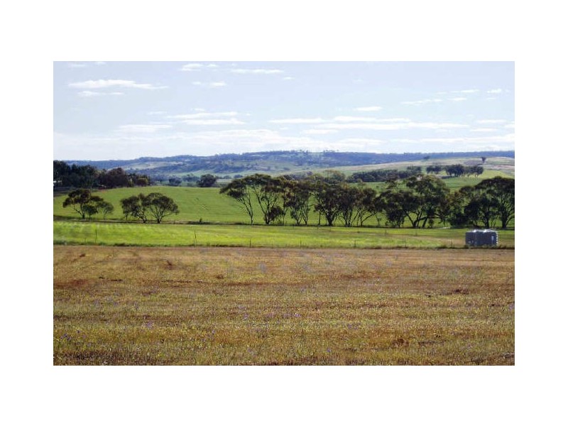Lot 56 One Man Rd, Toodyay WA 6566