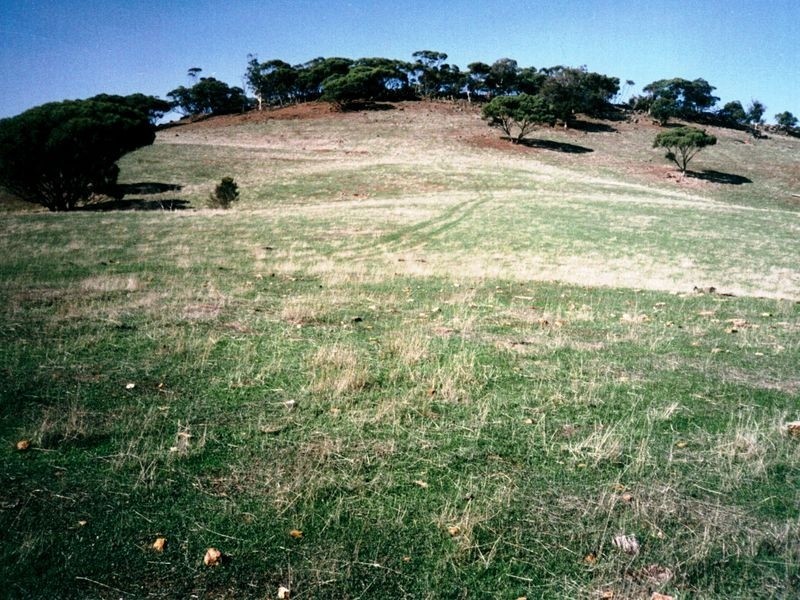 304 Waldeck West Rd, Wannamal WA 6505