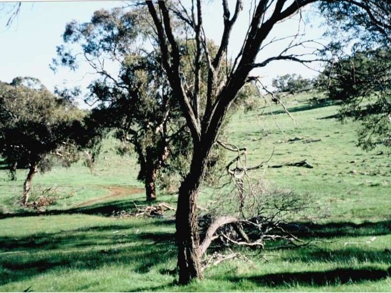 304 Waldeck West Rd, Wannamal WA 6505