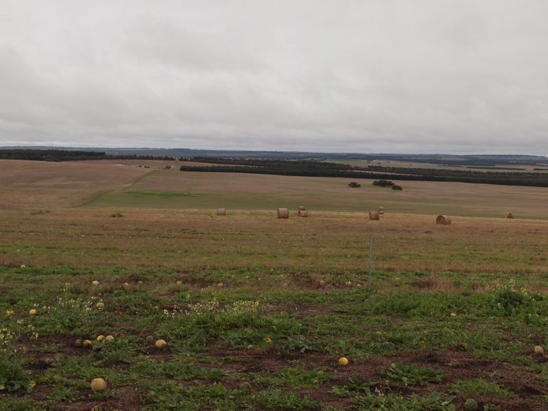 325 Boundary Road, Gillingarra WA 6510