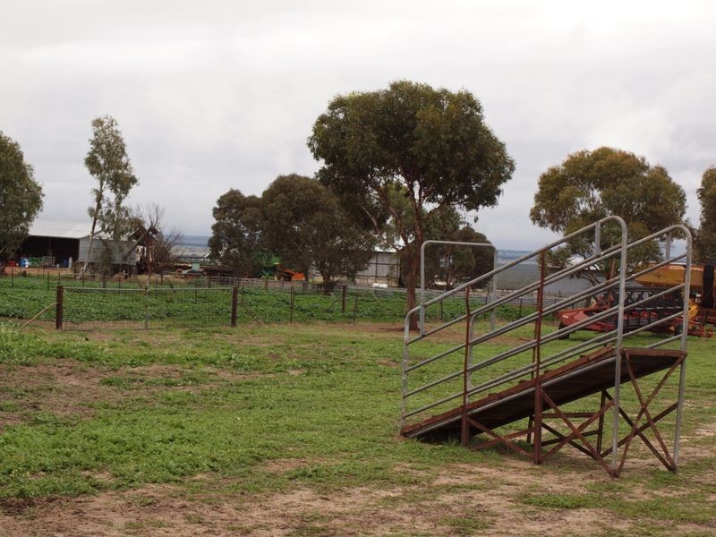 325 Boundary Road, Gillingarra WA 6510