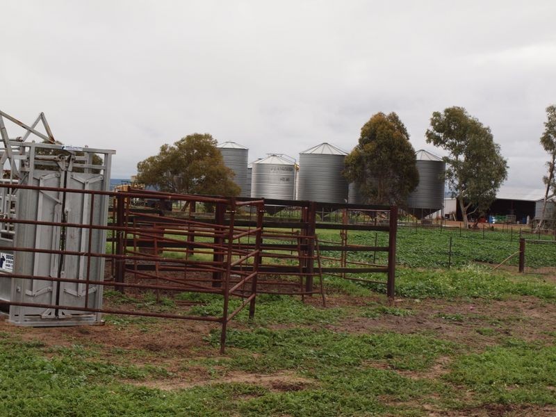 325 Boundary Road, Gillingarra WA 6510