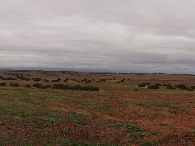 325 Boundary Road, Gillingarra WA 6510