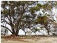 Toodyay WA 6566
