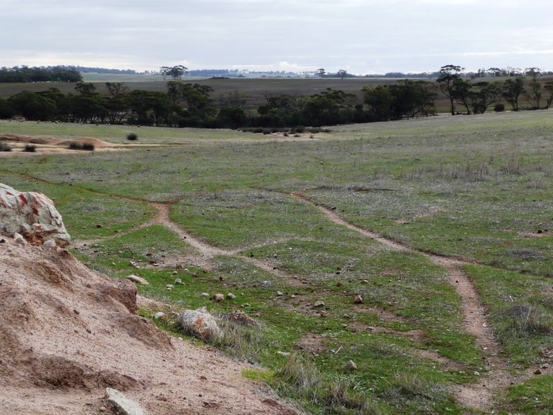 Goomalling WA 6460