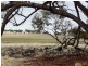 Goomalling WA 6460