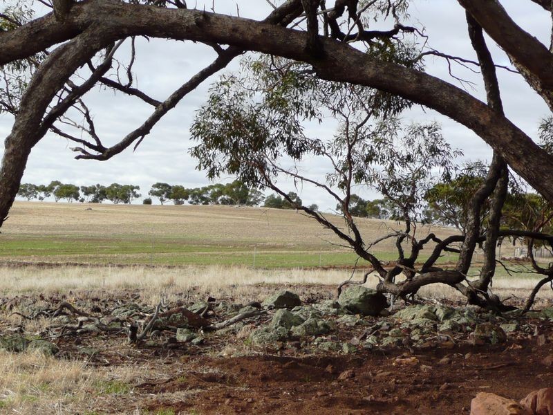 Goomalling WA 6460
