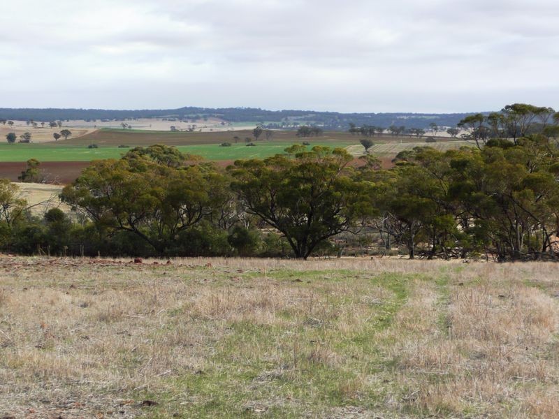 Goomalling WA 6460