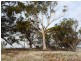 Goomalling WA 6460