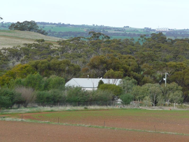 Toodyay WA 6566