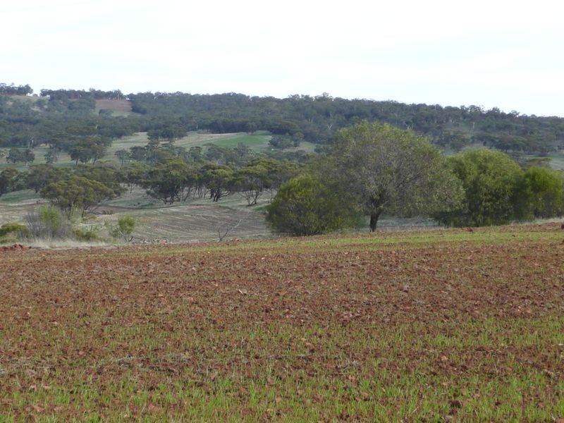 Toodyay WA 6566