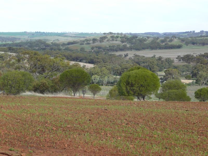Toodyay WA 6566