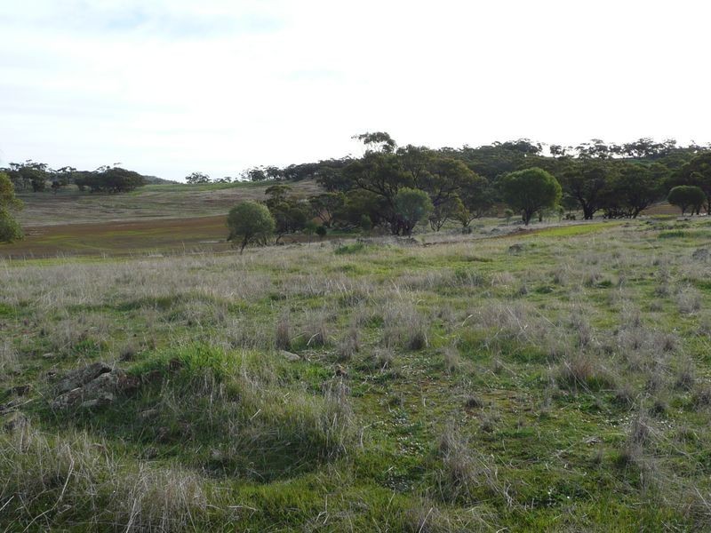 Toodyay WA 6566