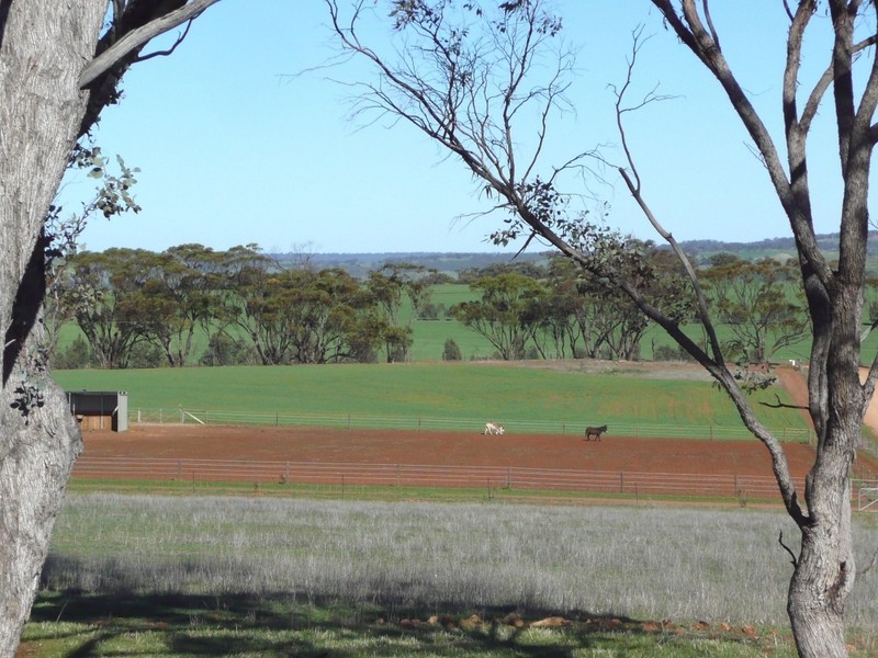 Toodyay WA 6566