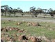 Toodyay WA 6566