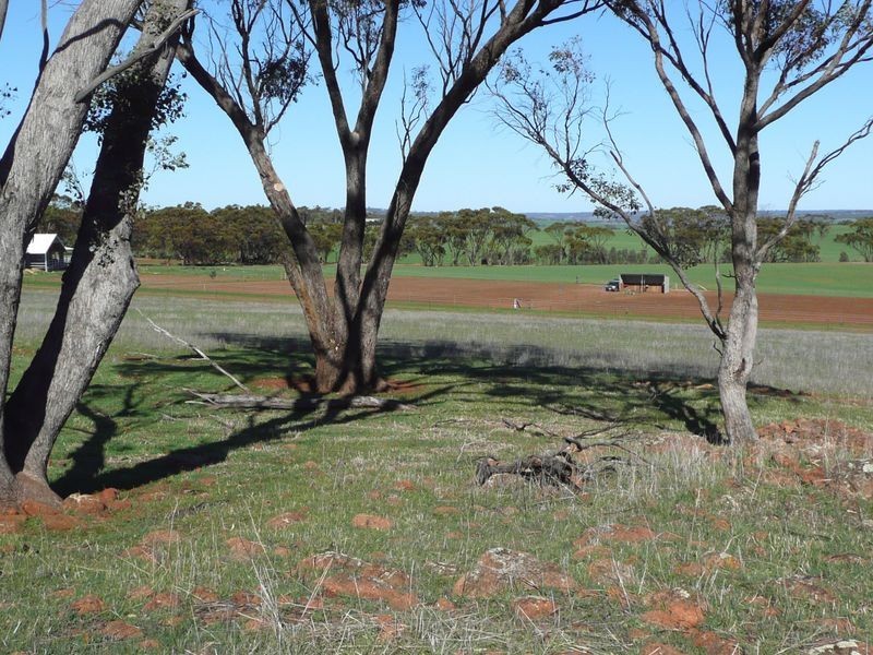 Toodyay WA 6566