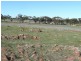 Toodyay WA 6566