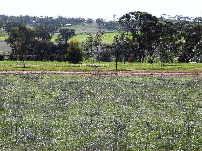 Toodyay WA 6566