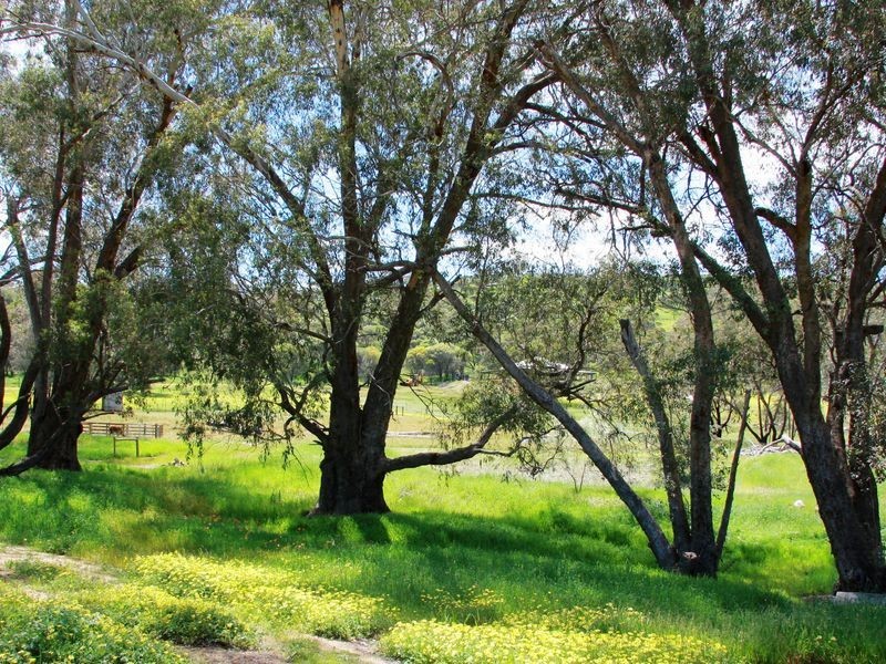 Toodyay WA 6566