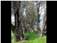 Toodyay WA 6566