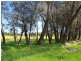 Toodyay WA 6566