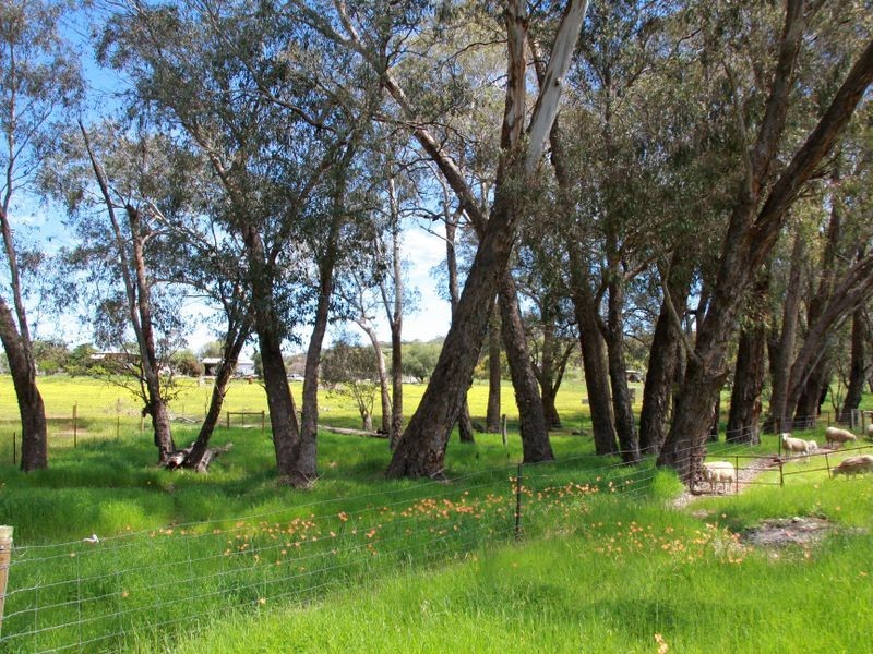 Toodyay WA 6566