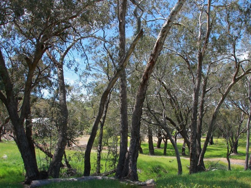 Toodyay WA 6566