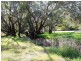Toodyay WA 6566