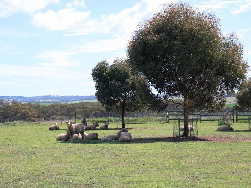 Toodyay WA 6566