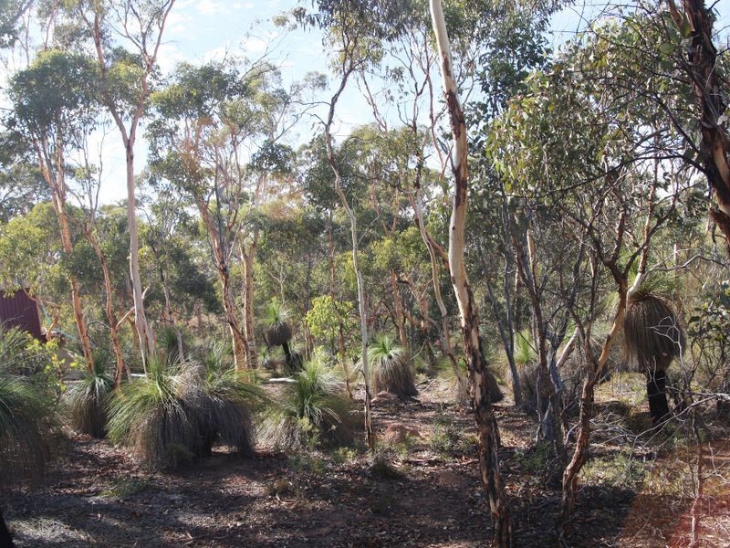 Toodyay WA 6566