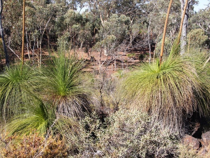 Toodyay WA 6566