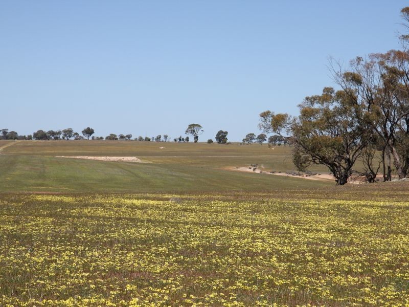 Goomalling WA 6460